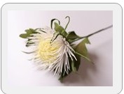 Хризантема из ревелюра - Панеева (2014)_0.jpg